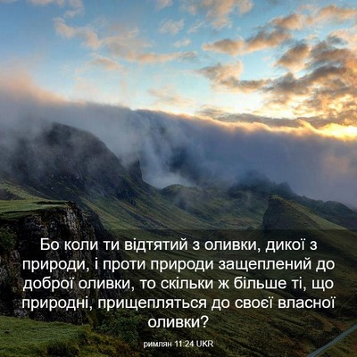 Picture 03 - римлян 11:24 UKR - Бо коли ти відтятий з - Bible Verse Picture