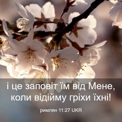 Picture 03 - римлян 11:27 UKR - і це заповіт їм від Мене, - Bible Verse Picture