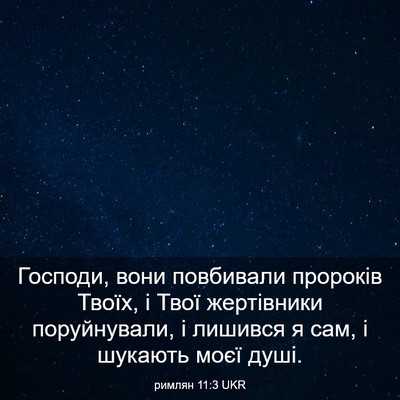 Picture 03 - римлян 11:3 UKR - Господи, вони повбивали - Bible Verse Picture