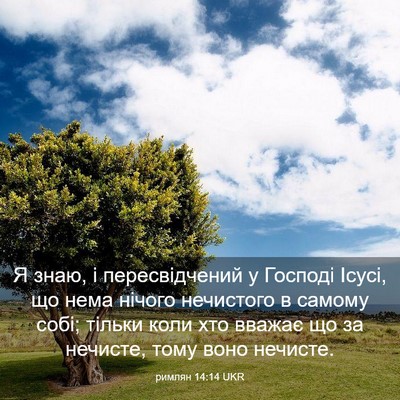 Picture 03 - римлян 14:14 UKR - Я знаю, і пересвідчений у - Bible Verse Picture
