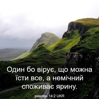 Picture 03 - римлян 14:2 UKR - Один бо вірує, що можна - Bible Verse Picture