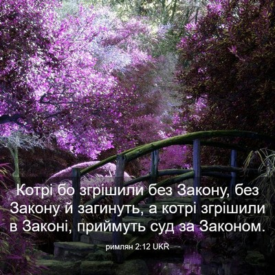 Picture 03 - римлян 2:12 UKR - Котрі бо згрішили без - Bible Verse Picture