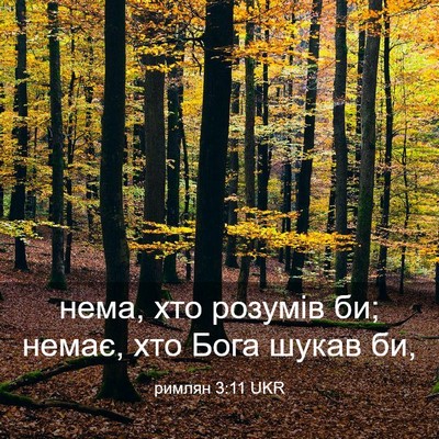 Picture 03 - римлян 3:11 UKR - нема, хто розумів би; немає, - Bible Verse Picture