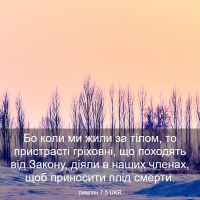 Picture 03 - римлян 7:5 UKR - Бо коли ми жили за тілом, то - Bible Verse Picture