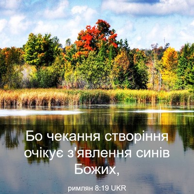 Picture 03 - римлян 8:19 UKR - Бо чекання створіння - Bible Verse Picture