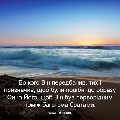 Picture 03 - римлян 8:29 UKR - Бо кого Він передбачив, тих - Bible Verse Picture
