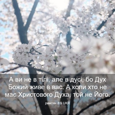 Picture 03 - римлян 8:9 UKR - А ви не в тілі, але в дусі, - Bible Verse Picture