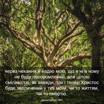 Picture 03 - филип'ян 1:20 UKR - через чекання й надію мою, - Bible Verse Picture