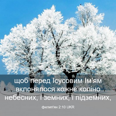 Picture 03 - филип'ян 2:10 UKR - щоб перед Ісусовим Ім'ям - Bible Verse Picture