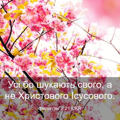 Picture 03 - филип'ян 2:21 UKR - Усі бо шукають свого, а не - Bible Verse Picture