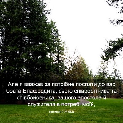 Picture 03 - филип'ян 2:25 UKR - Але я вважав за потрібне - Bible Verse Picture