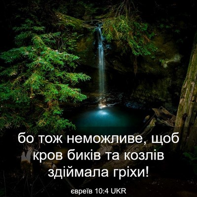 Picture 03 - євреїв 10:4 UKR - бо тож неможливе, щоб кров - Bible Verse Picture