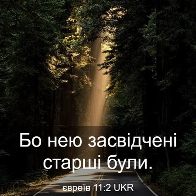 Picture 03 - євреїв 11:2 UKR - Бо нею засвідчені старші - Bible Verse Picture