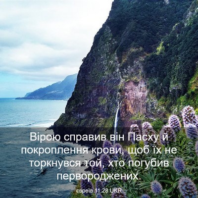 Picture 03 - євреїв 11:28 UKR - Вірою справив він Пасху й - Bible Verse Picture