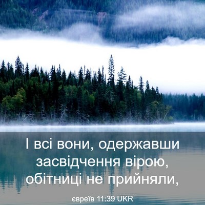 Picture 03 - євреїв 11:39 UKR - І всі вони, одержавши - Bible Verse Picture