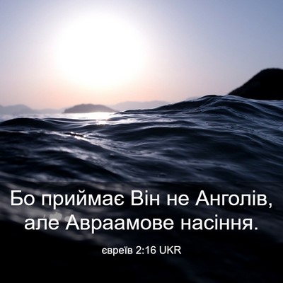 Picture 03 - євреїв 2:16 UKR - Бо приймає Він не Анголів, - Bible Verse Picture