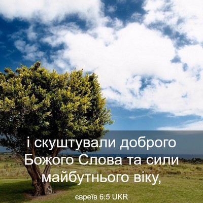 Picture 03 - євреїв 6:5 UKR - і скуштували доброго - Bible Verse Picture