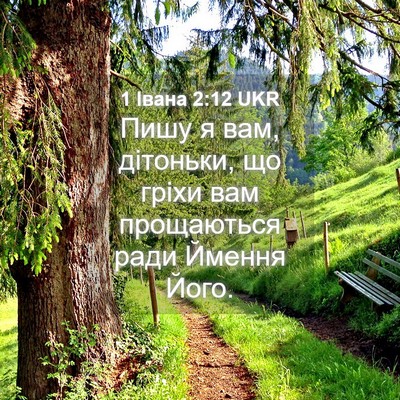 Picture 04 - 1 Івана 2:12 UKR - Пишу я вам, дітоньки, що - Bible Verse Picture