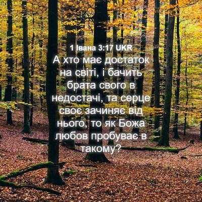 Picture 04 - 1 Івана 3:17 UKR - А хто має достаток на - Bible Verse Picture