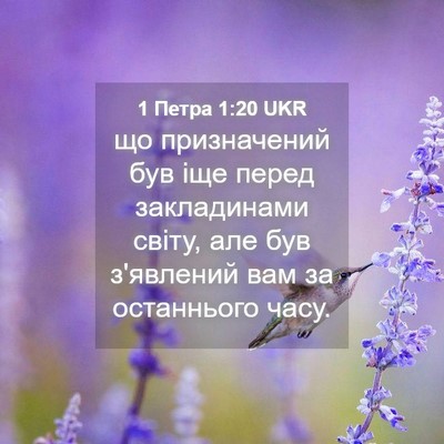 Picture 04 - 1 Петра 1:20 UKR - що призначений був іще - Bible Verse Picture