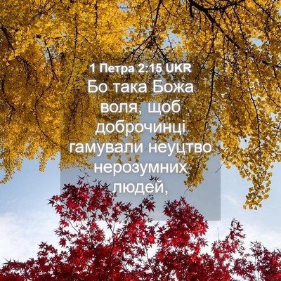 Picture 04 - 1 Петра 2:15 UKR - Бо така Божа воля, щоб - Bible Verse Picture