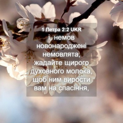 Picture 04 - 1 Петра 2:2 UKR - і, немов новонароджені - Bible Verse Picture