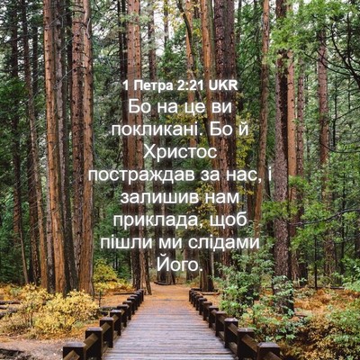 Picture 04 - 1 Петра 2:21 UKR - Бо на це ви покликані. Бо й - Bible Verse Picture