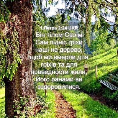 Picture 04 - 1 Петра 2:24 UKR - Він тілом Своїм Сам підніс - Bible Verse Picture