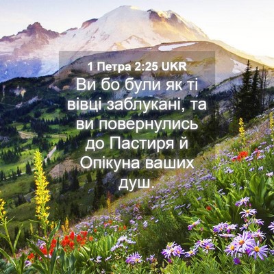 Picture 04 - 1 Петра 2:25 UKR - Ви бо були як ті вівці - Bible Verse Picture