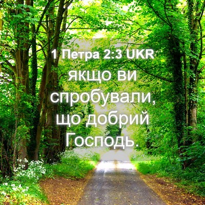 Picture 04 - 1 Петра 2:3 UKR - якщо ви спробували, що - Bible Verse Picture