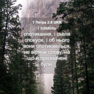 Picture 04 - 1 Петра 2:8 UKR - і камінь спотикання, і - Bible Verse Picture