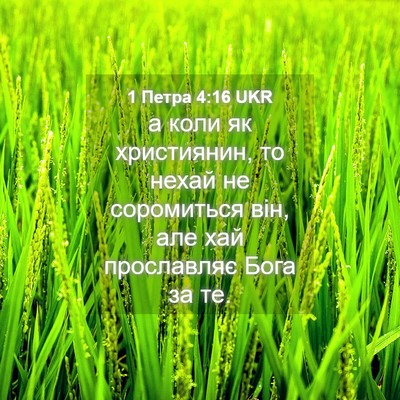 Picture 04 - 1 Петра 4:16 UKR - а коли як християнин, то - Bible Verse Picture