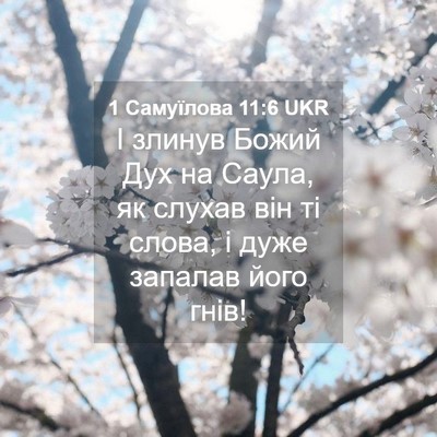 Picture 04 - 1 Самуїлова 11:6 UKR - І злинув Божий Дух на - Bible Verse Picture