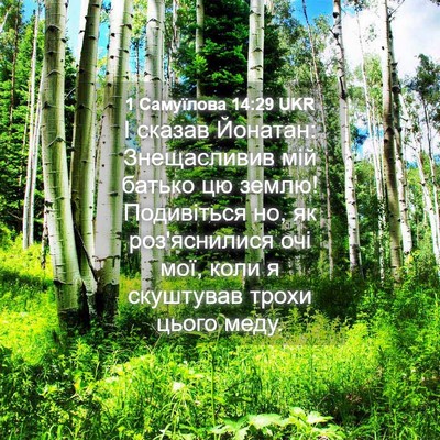 Picture 04 - 1 Самуїлова 14:29 UKR - І сказав Йонатан: - Bible Verse Picture