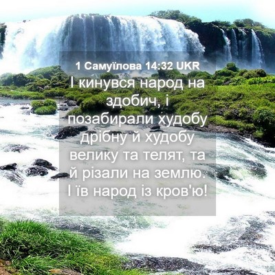 Picture 04 - 1 Самуїлова 14:32 UKR - І кинувся народ на здобич, - Bible Verse Picture