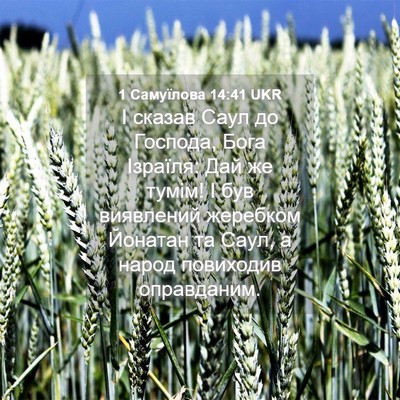 Picture 04 - 1 Самуїлова 14:41 UKR - І сказав Саул до Господа, - Bible Verse Picture