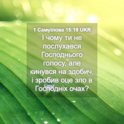 Picture 04 - 1 Самуїлова 15:19 UKR - І чому ти не послухався - Bible Verse Picture