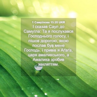 Picture 04 - 1 Самуїлова 15:20 UKR - І сказав Саул до Самуїла: - Bible Verse Picture