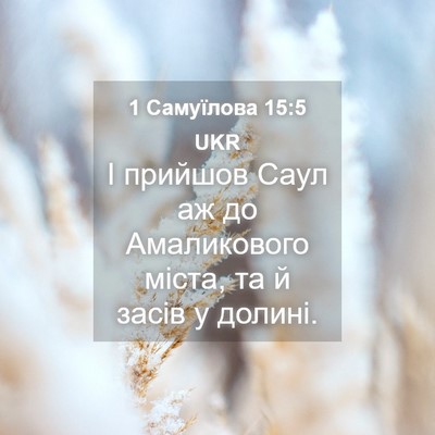 Picture 04 - 1 Самуїлова 15:5 UKR - І прийшов Саул аж до - Bible Verse Picture