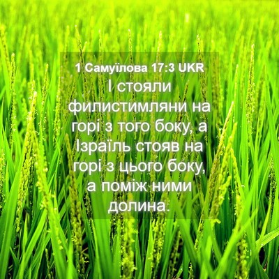 Picture 04 - 1 Самуїлова 17:3 UKR - І стояли филистимляни на - Bible Verse Picture