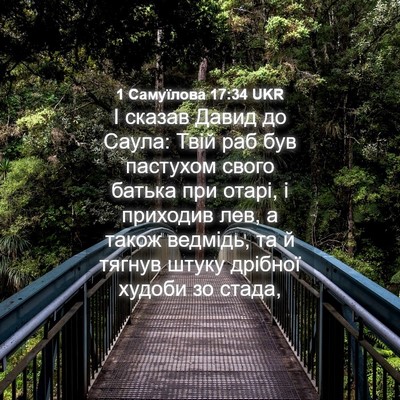 Picture 04 - 1 Самуїлова 17:34 UKR - І сказав Давид до Саула: - Bible Verse Picture