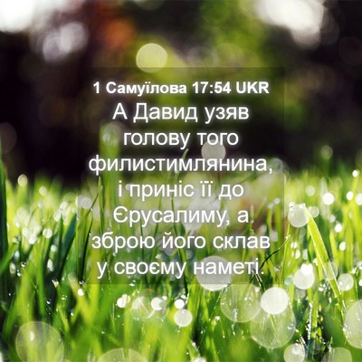 Picture 04 - 1 Самуїлова 17:54 UKR - А Давид узяв голову того - Bible Verse Picture