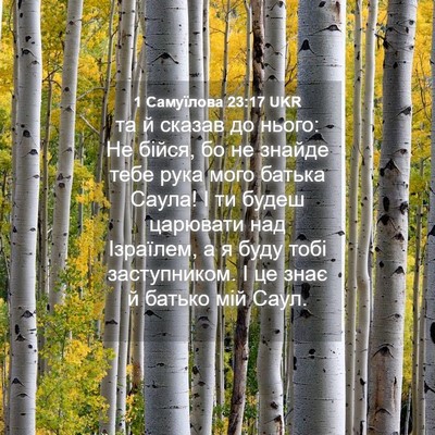 Picture 04 - 1 Самуїлова 23:17 UKR - та й сказав до нього: Не - Bible Verse Picture
