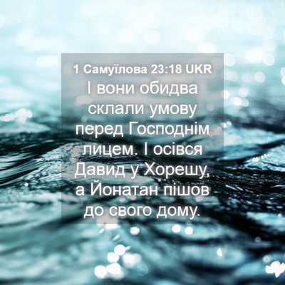 Picture 04 - 1 Самуїлова 23:18 UKR - І вони обидва склали умову - Bible Verse Picture