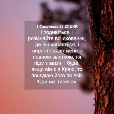 Picture 04 - 1 Самуїлова 23:23 UKR - І подивіться, і розізнайте - Bible Verse Picture