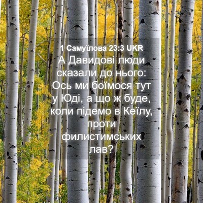 Picture 04 - 1 Самуїлова 23:3 UKR - А Давидові люди сказали до - Bible Verse Picture