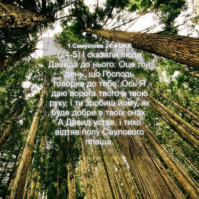 Picture 04 - 1 Самуїлова 24:4 UKR - (24-5) І сказали люди Давида - Bible Verse Picture