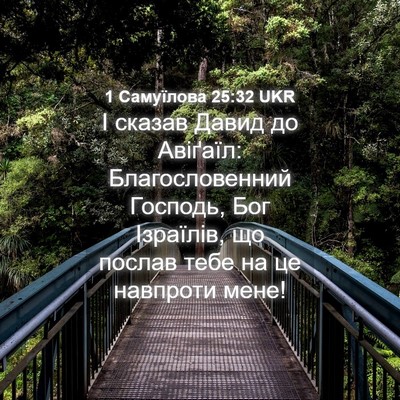 Picture 04 - 1 Самуїлова 25:32 UKR - І сказав Давид до Авіґаїл: - Bible Verse Picture