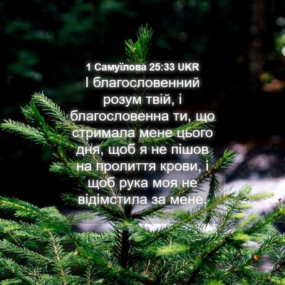 Picture 04 - 1 Самуїлова 25:33 UKR - І благословенний розум - Bible Verse Picture