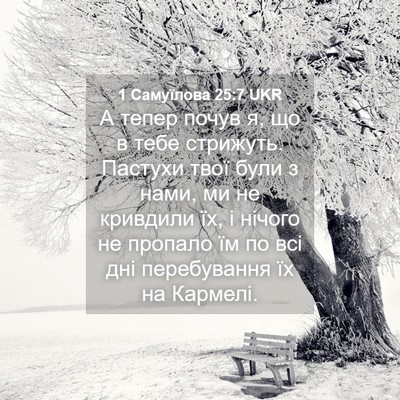 Picture 04 - 1 Самуїлова 25:7 UKR - А тепер почув я, що в тебе - Bible Verse Picture